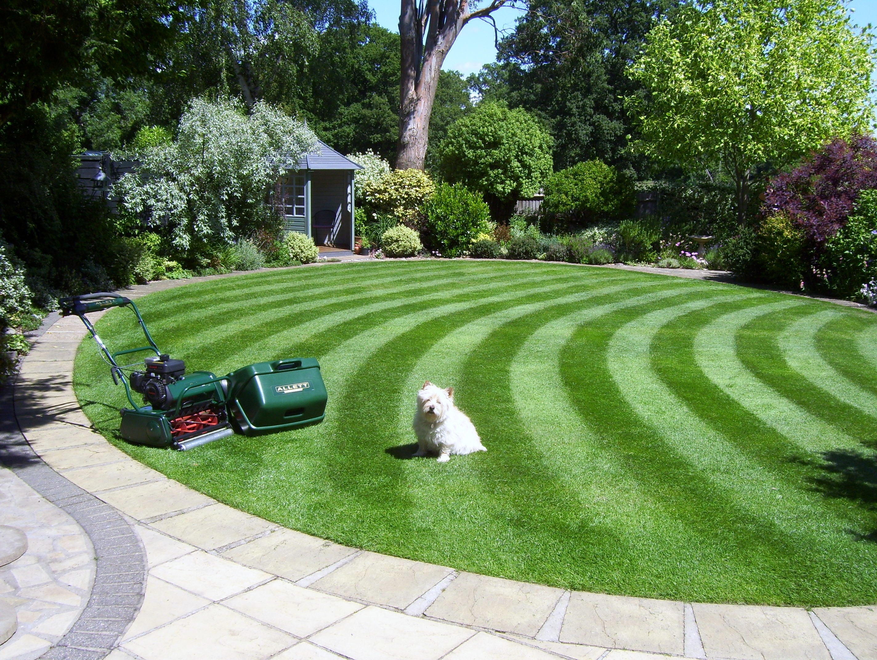 Tondeuse à essence Kensington 20B