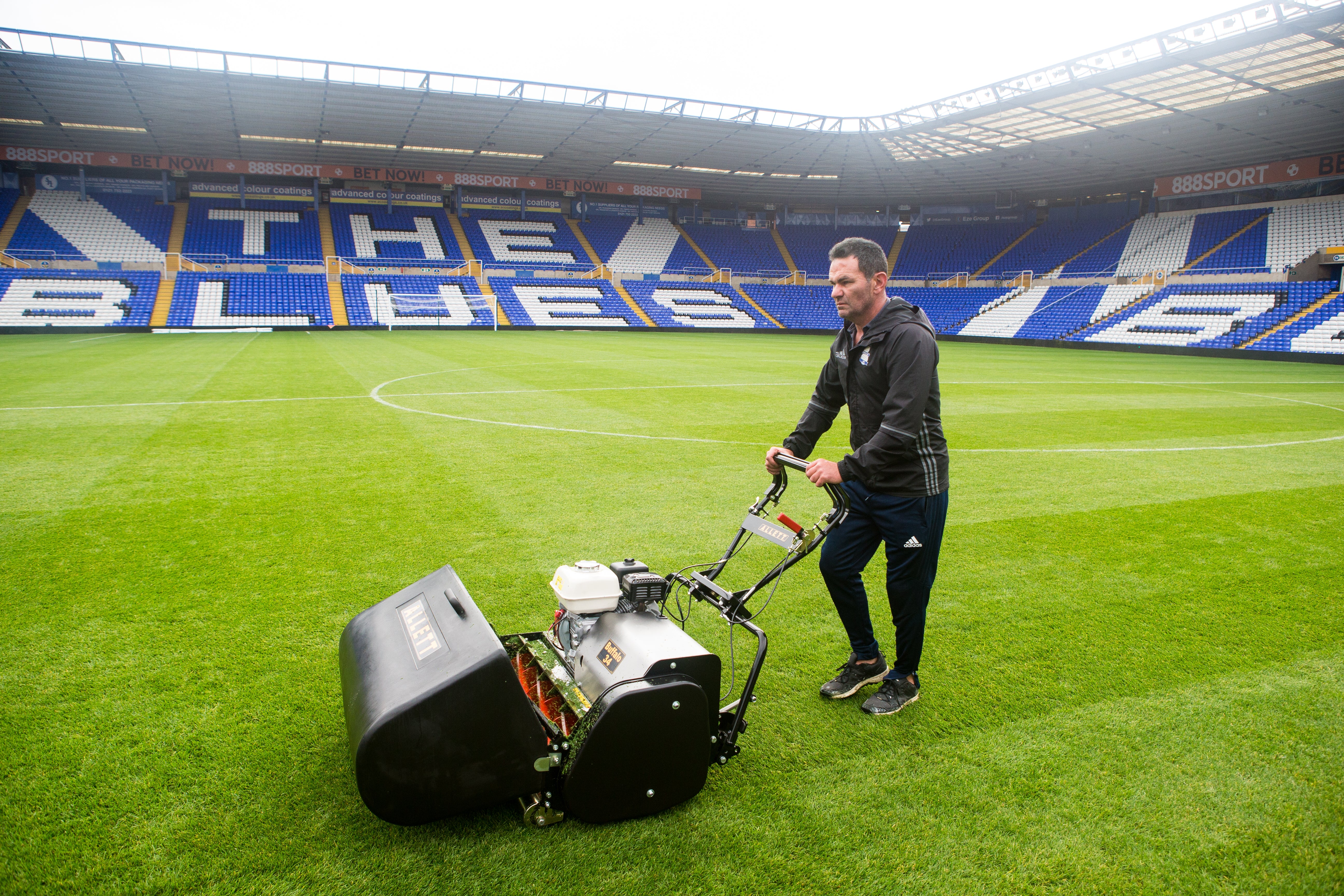 BUFFALO 34" (865mm) General purpose 8 blade Mower
