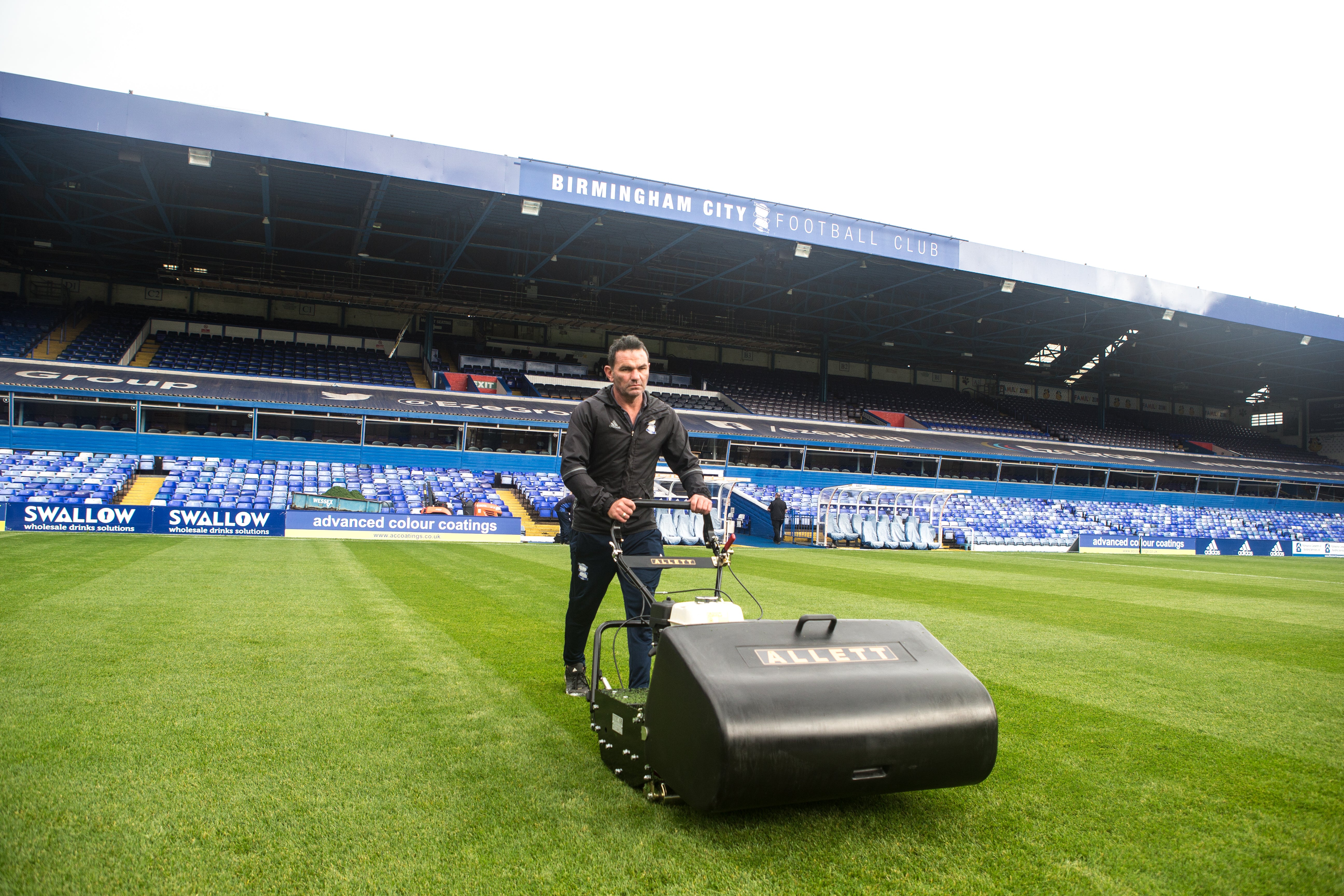 BUFFALO 34" (865mm) General purpose 8 blade Mower