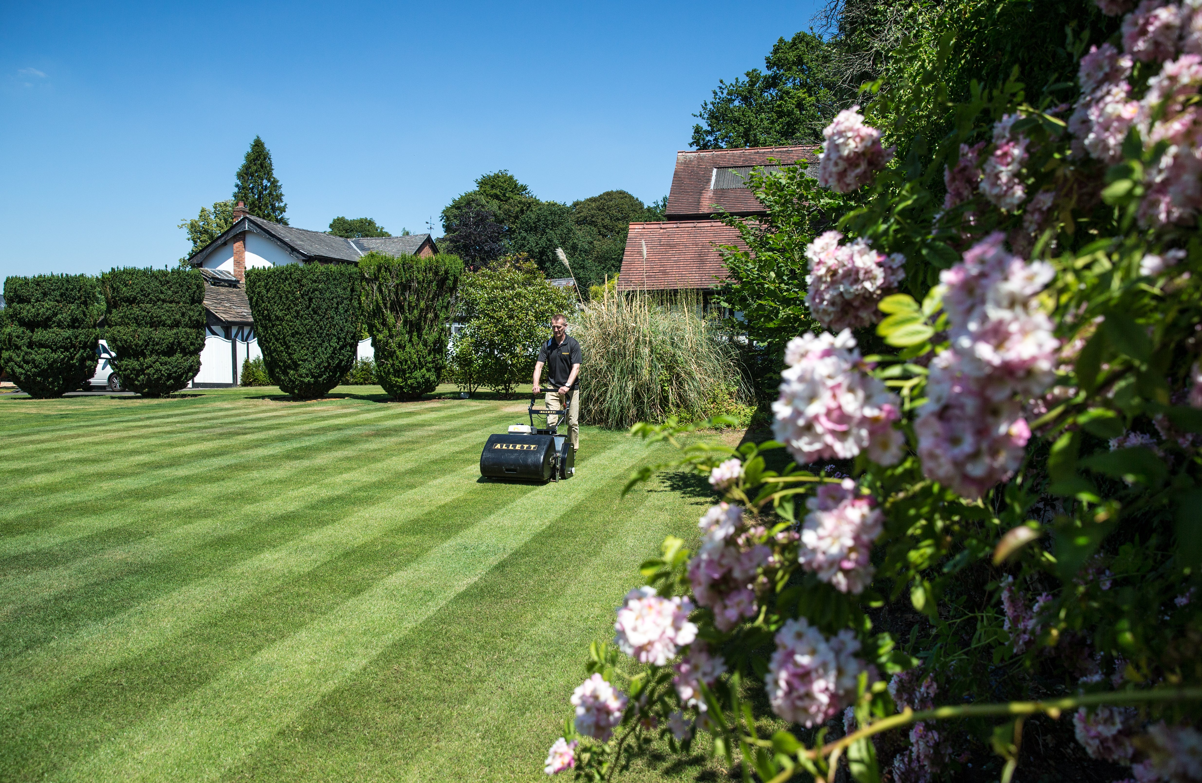 Tondeuse à cylindre Allett C24 (Moteur avec bac de ramassage)