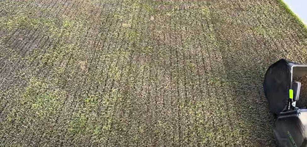 Verifyer grooves cut into turf