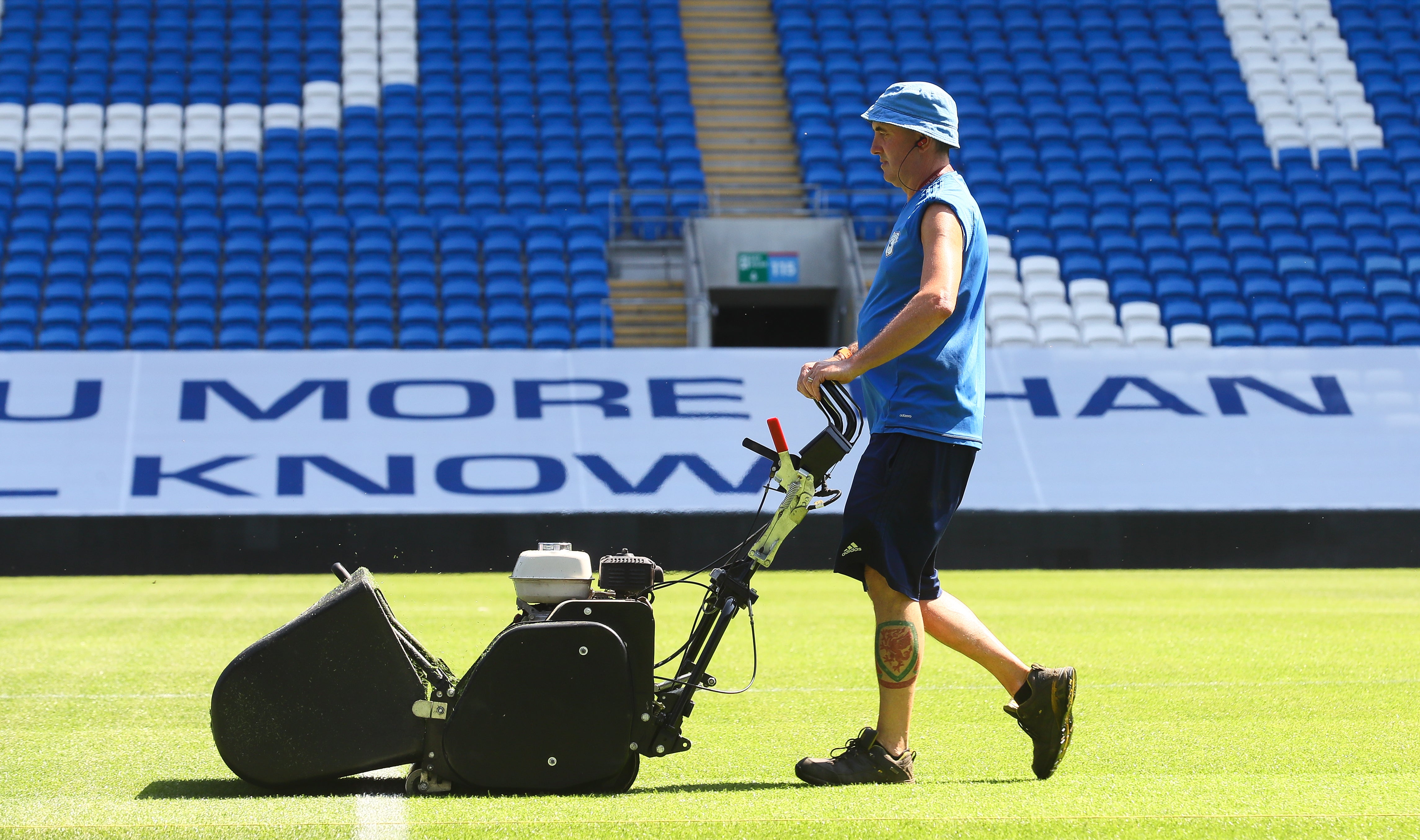 BUFFALO 34" (865mm) General purpose 8 blade Mower