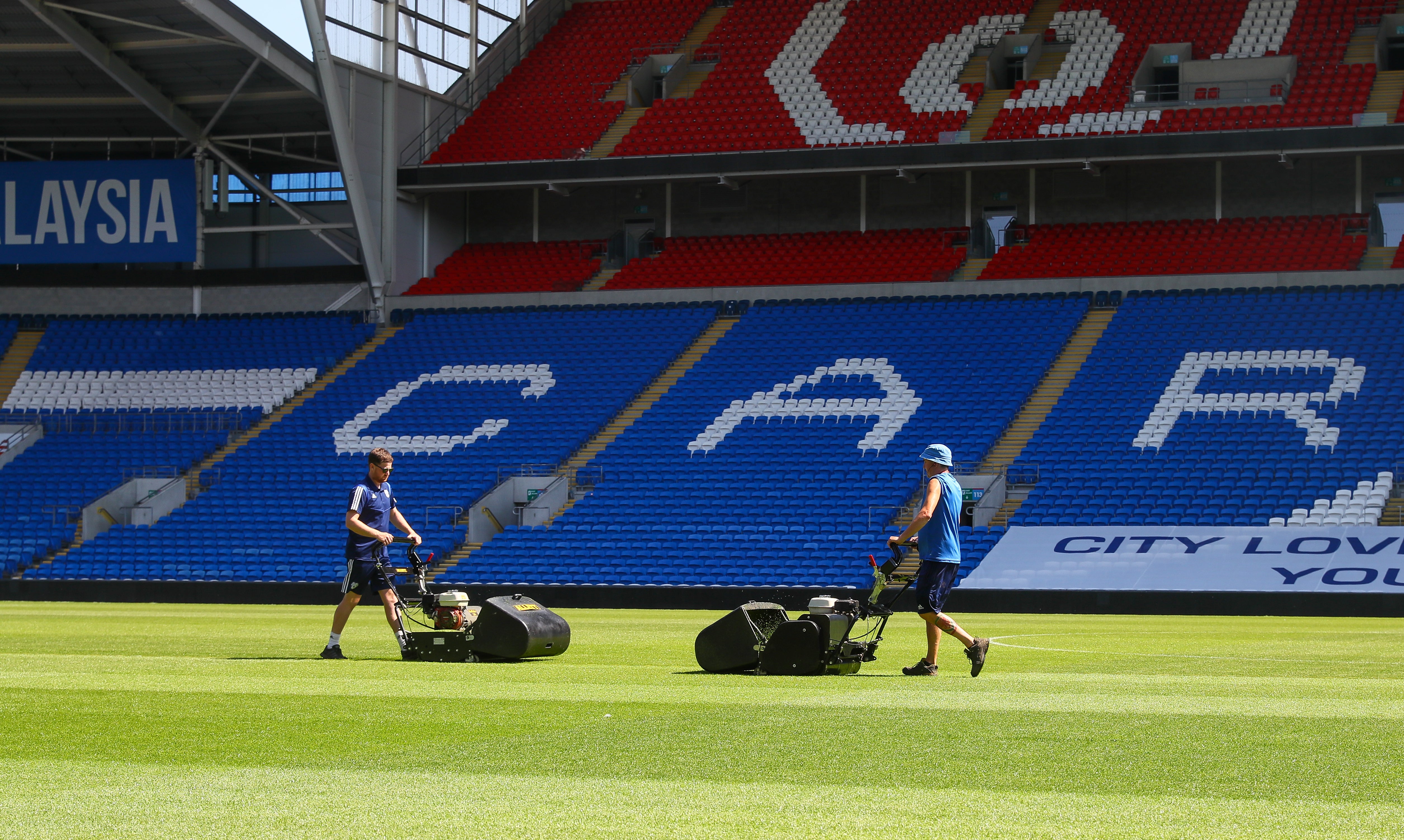 BUFFALO 34" (865mm) General purpose 8 blade Mower