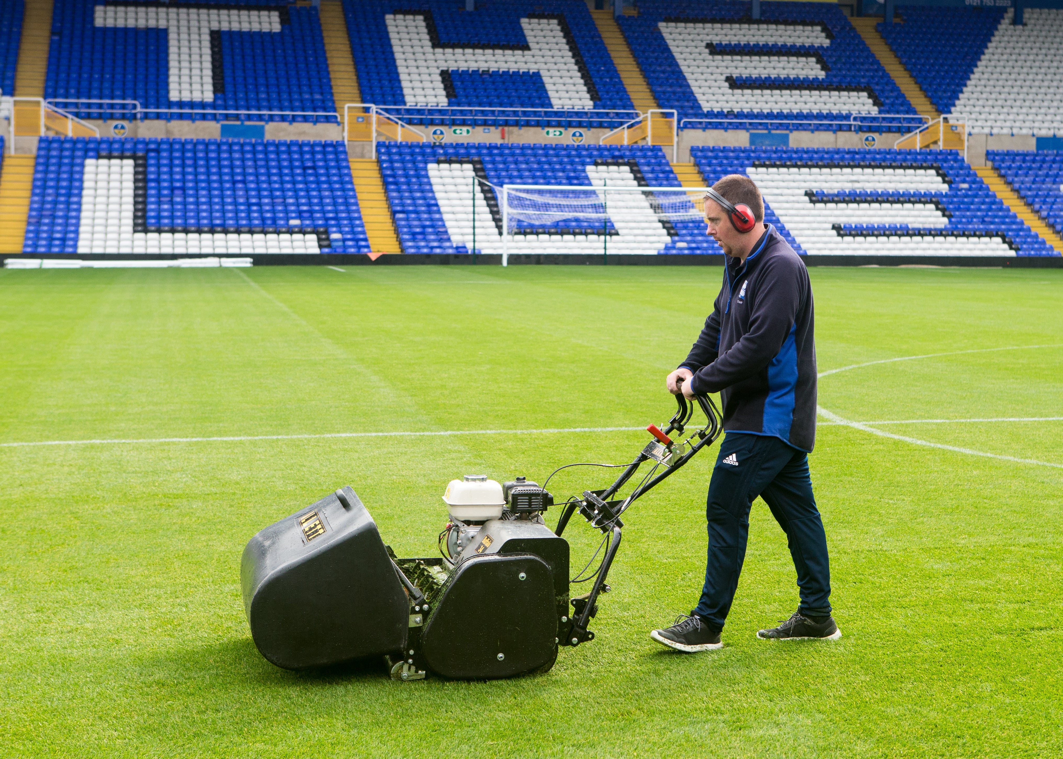 BUFFALO 34" (865mm) General purpose 8 blade Mower