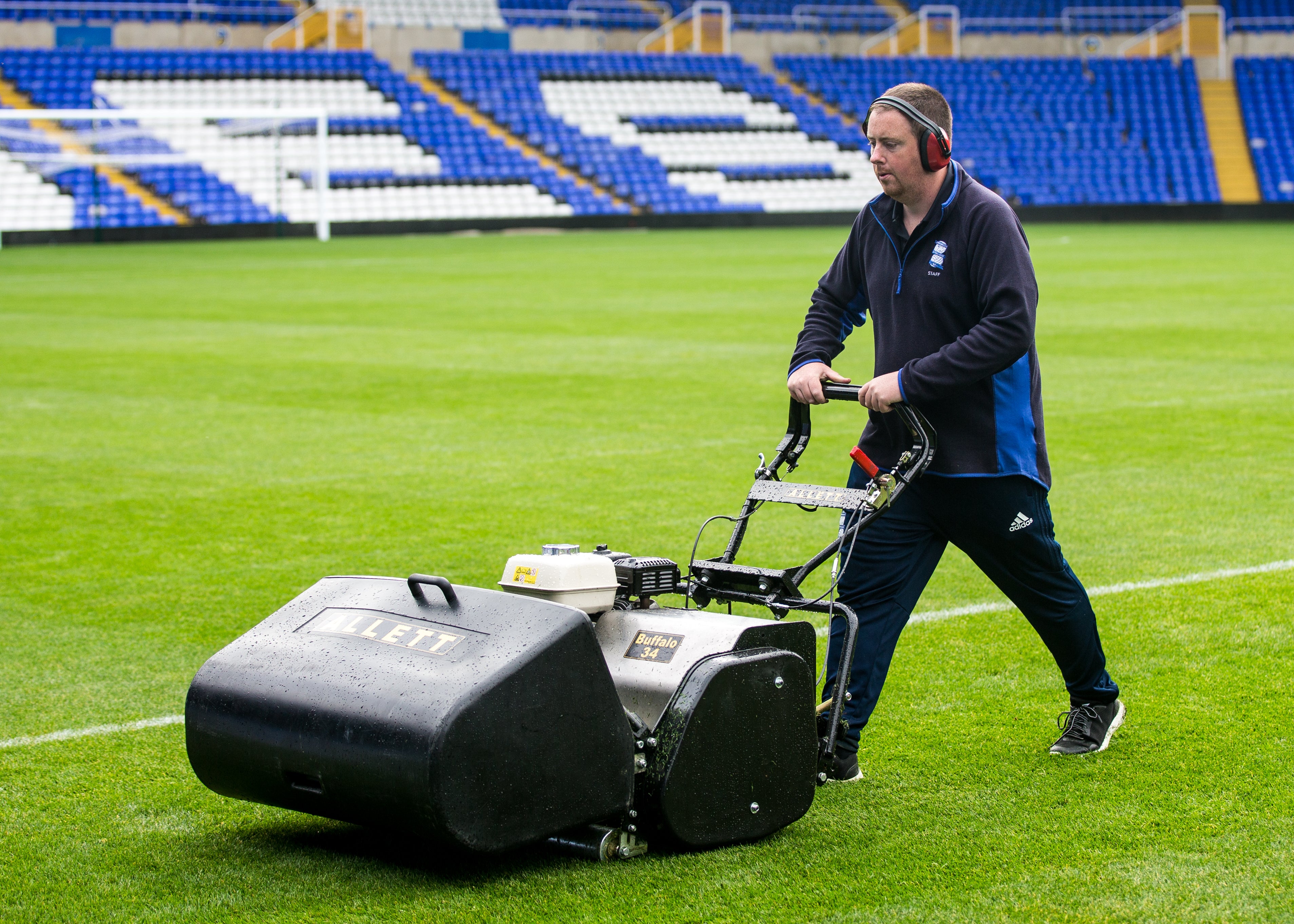 BUFFALO 34" (865mm) General purpose 8 blade Mower