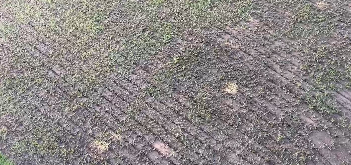 Verifyer grooves cut into turf