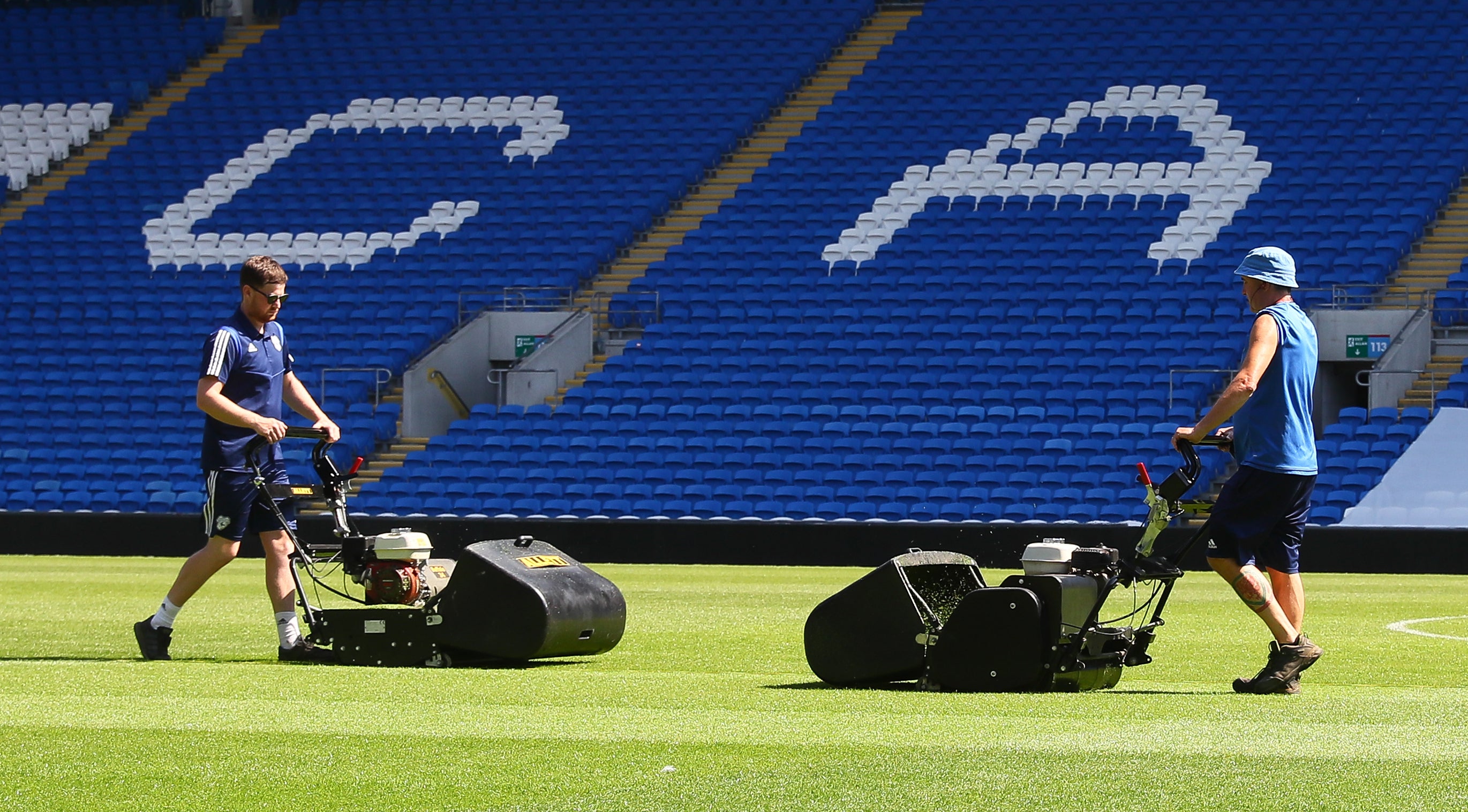 BUFFALO 34" (865mm) General purpose 8 blade Mower