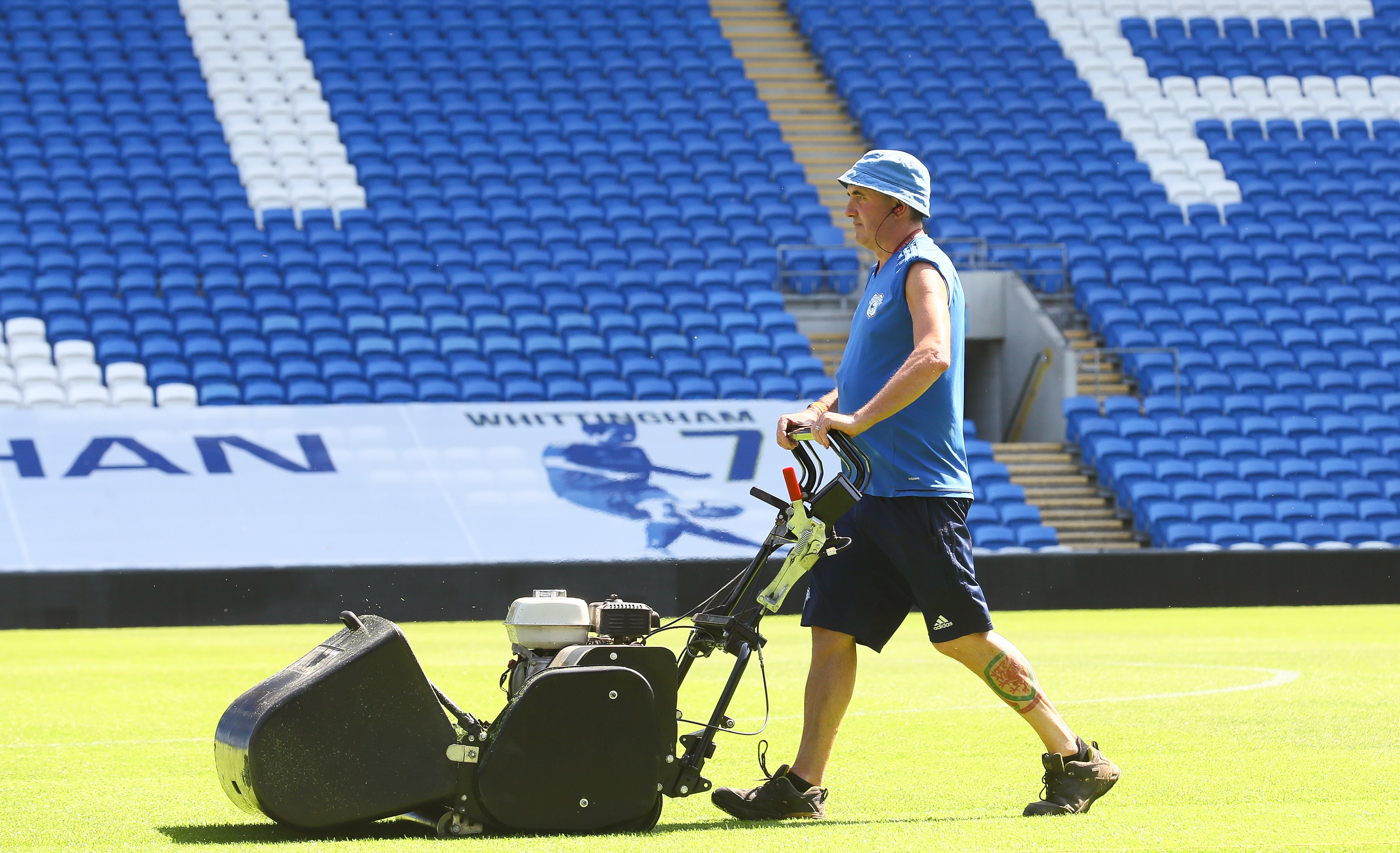 BUFFALO 34" (865mm) General purpose 8 blade Mower