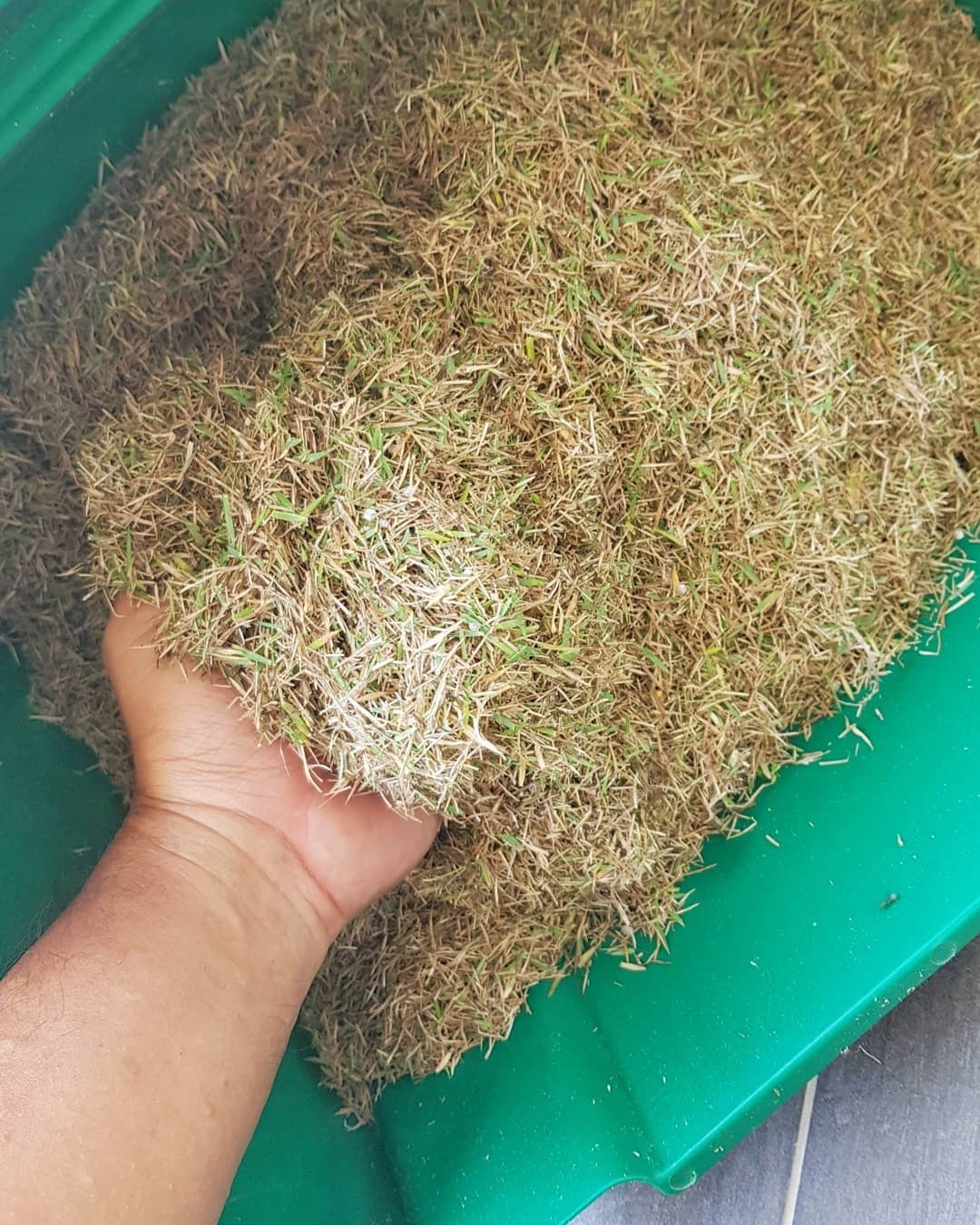 Cartouche à changement rapide pour scarificateur Allett QC14SC 14" 